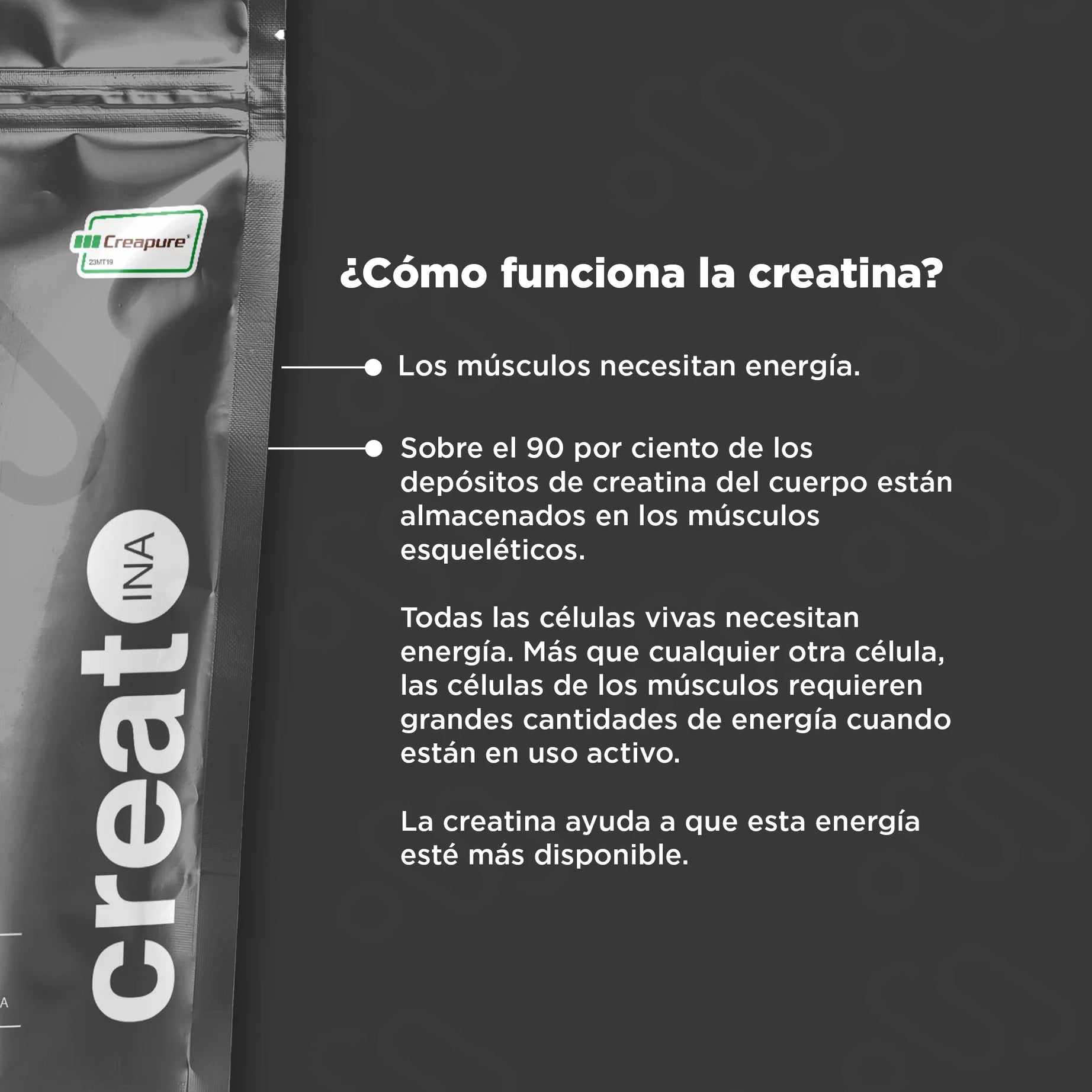 Creatina mayor fuerza y mejor recuperación, presentación de 300g, contiene creatina monohidratada 100%pura